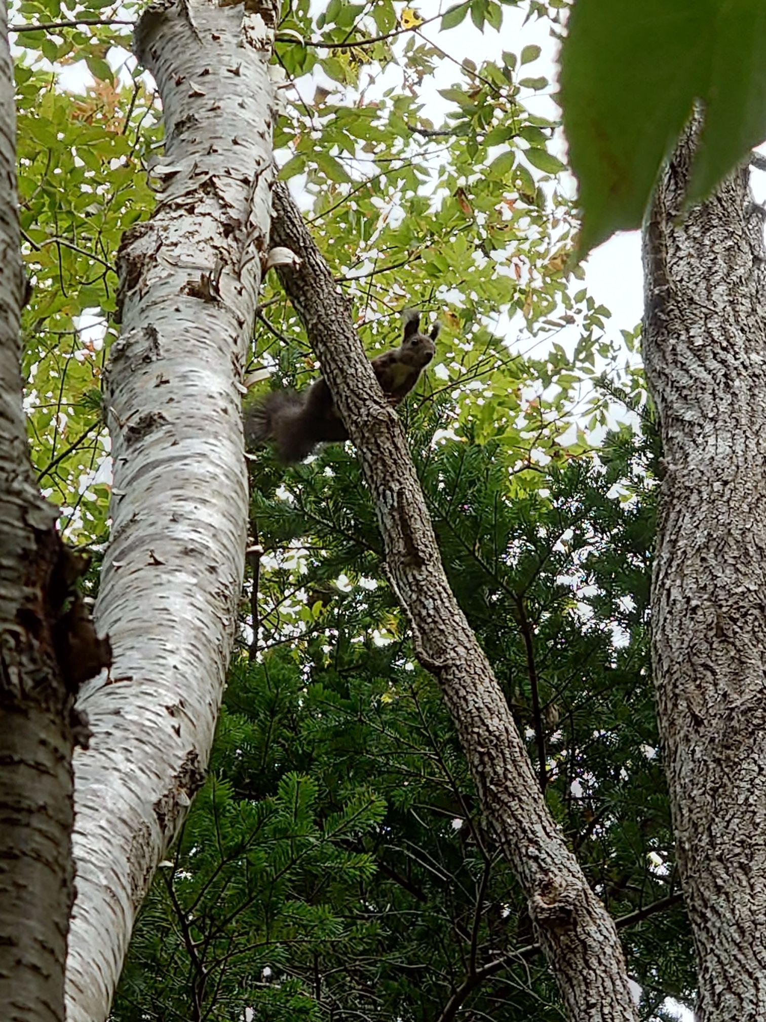 あなたの地域の田舎自慢は？