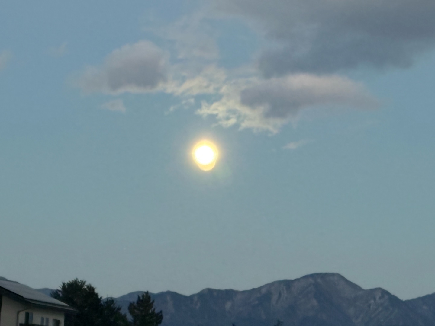 星新一の「おんなじぼっこ」って本知ってる人いますか？