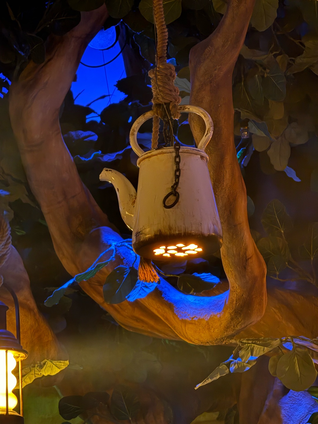 それぞれどこで撮られた写真でしょーか？