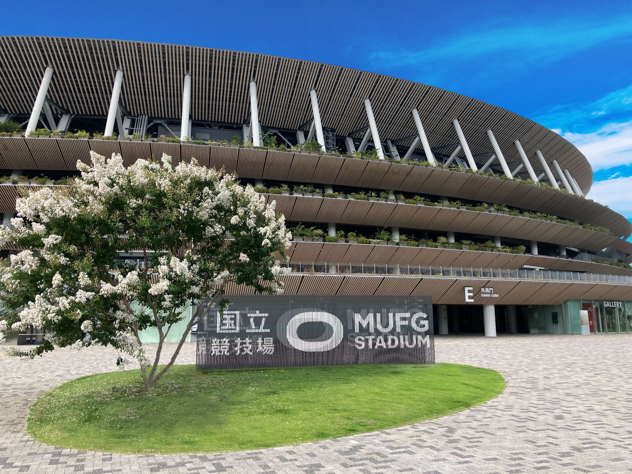 イコラブスタジアムライブ国立行く？