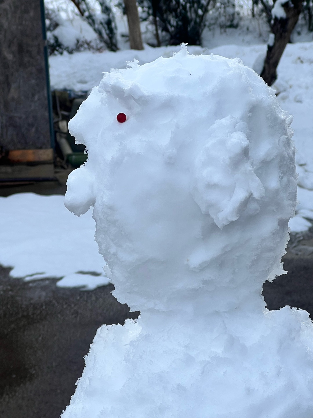 名前を付けて！！