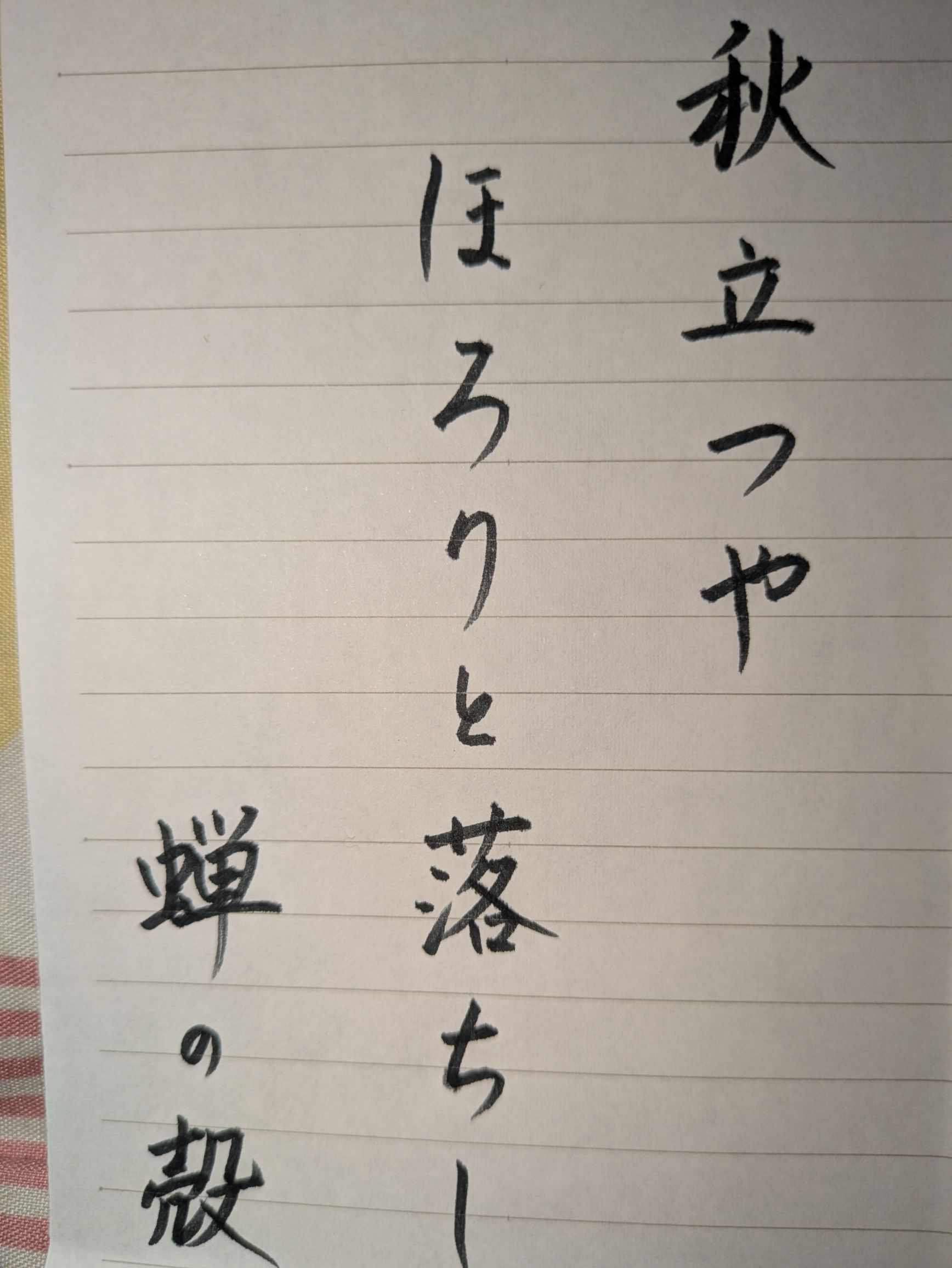 これ、上手いですか？🌸✨