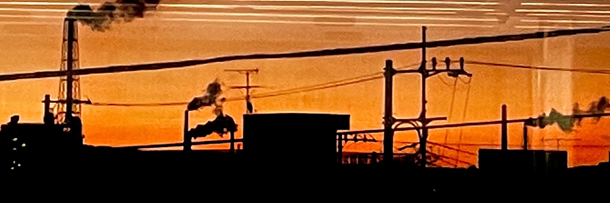 静岡県で一番お気に入りの風景教えて