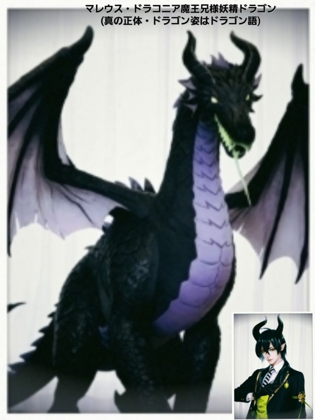 【2026・ツイステ・王族でディアソムニア組織表生徒会🏫🔯】