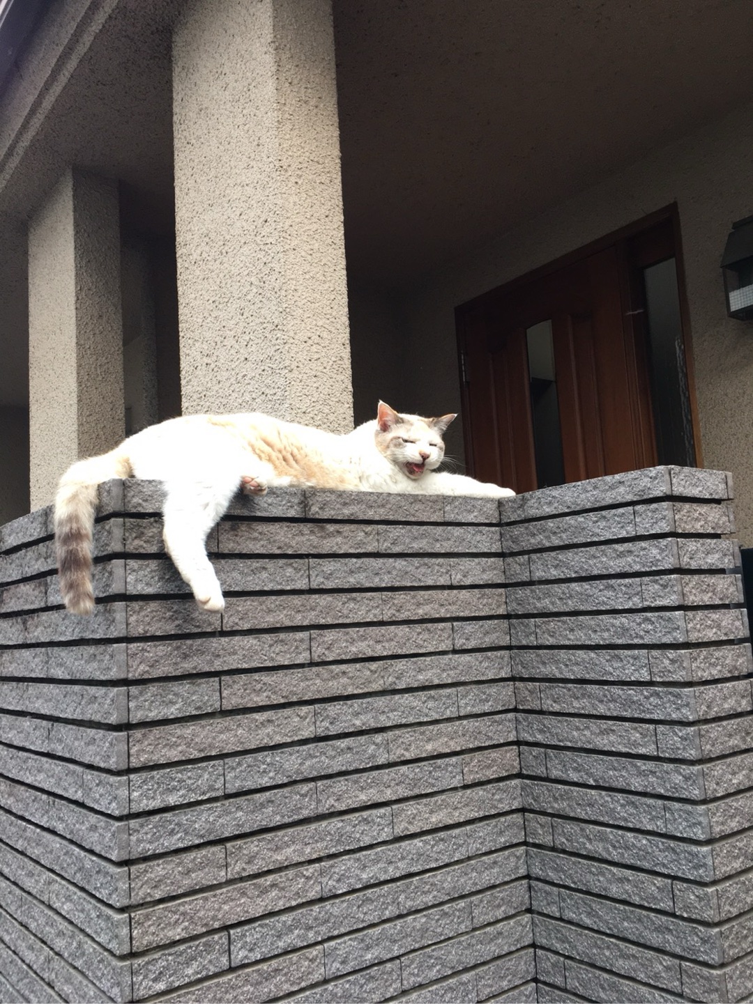 写真に一言どうぞ！