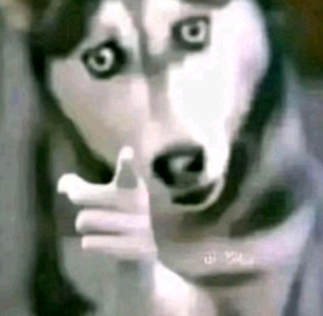 この画像でひと言