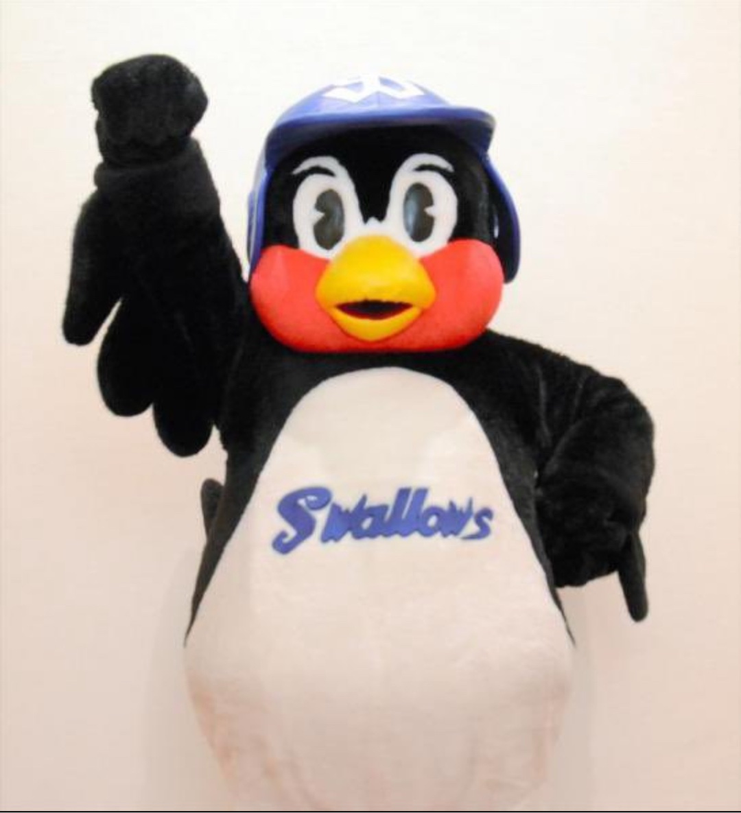 おかえりなさい、つば九郎🥰