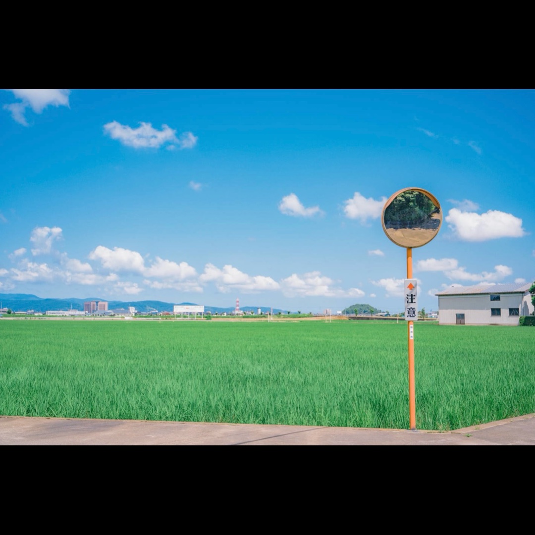 【急募】この写真のミラーが邪魔なので消してもらえませんか？#クソコラ大喜利