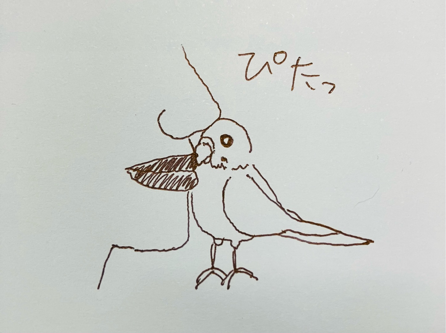 こんな子いますか？