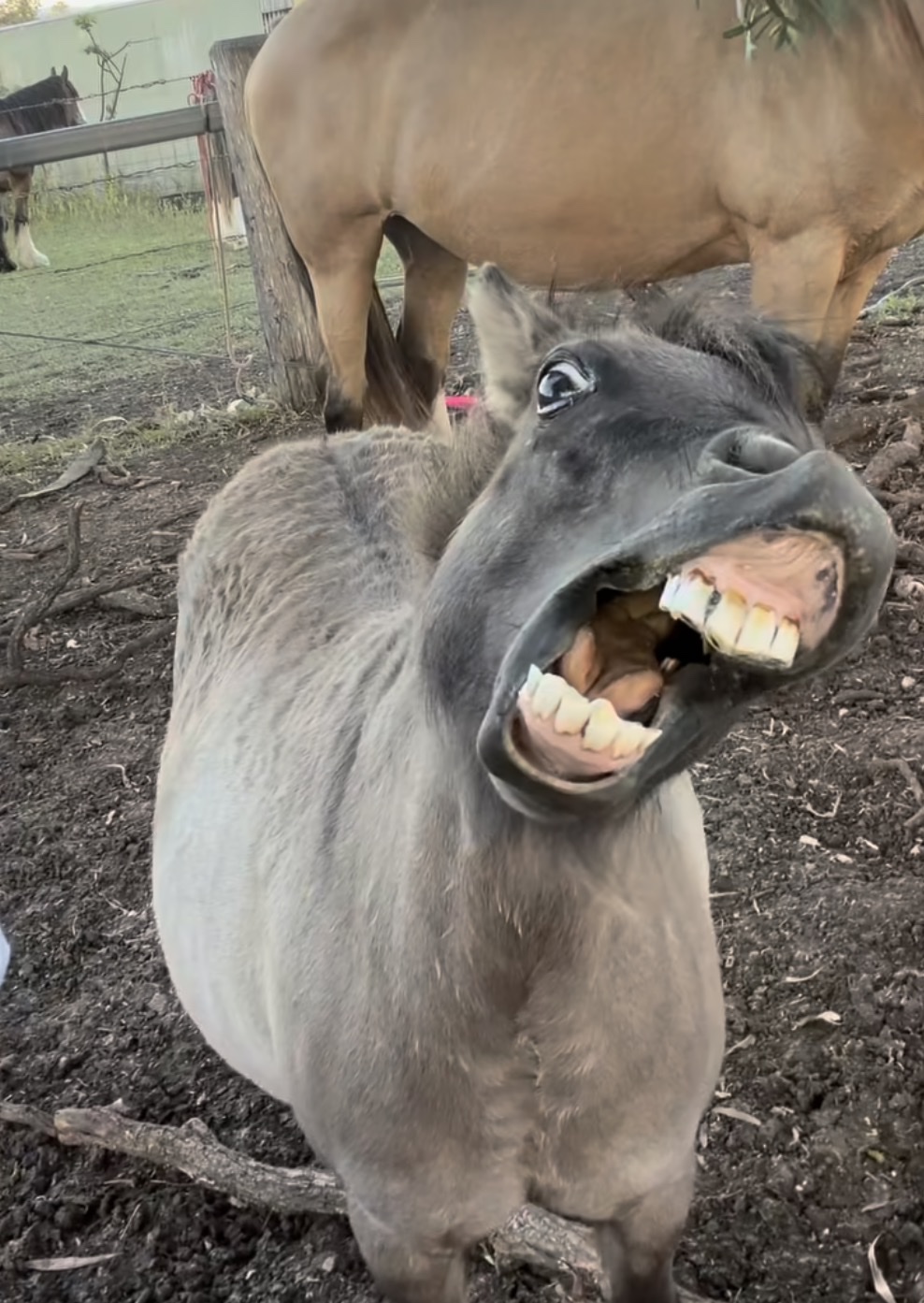 画像に一言‼️