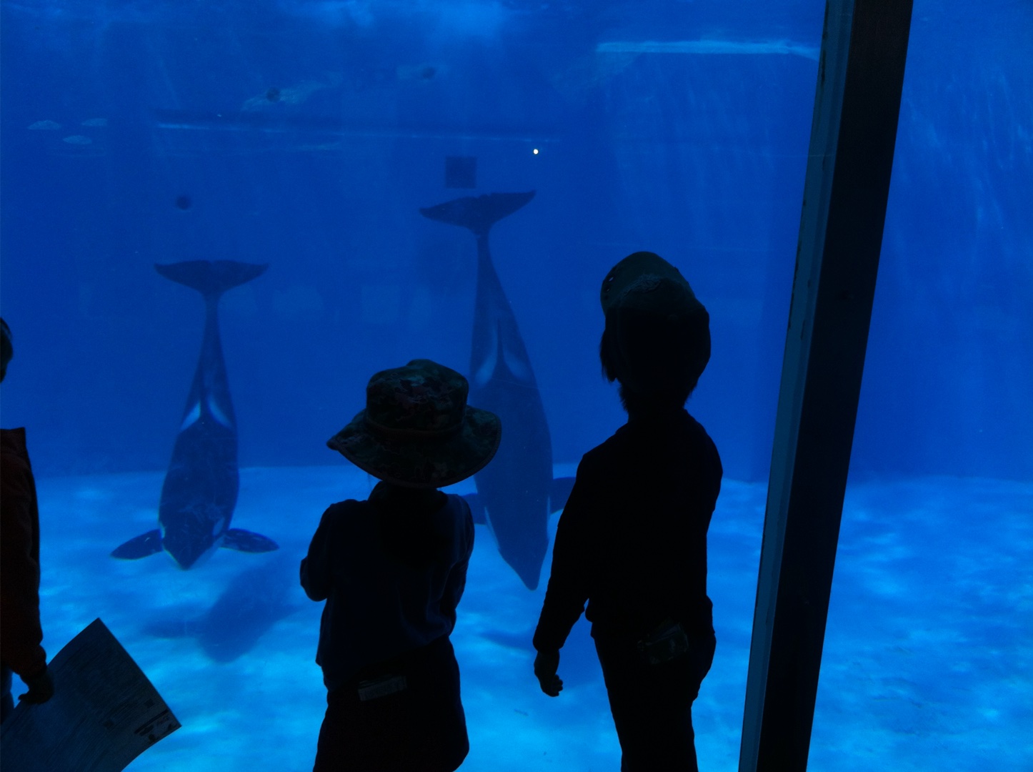 可愛い子供の写真見せて！