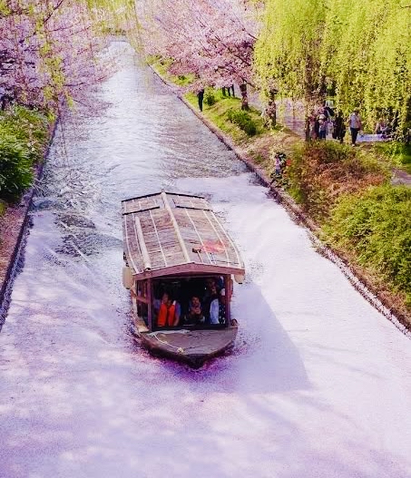 とっておきの拾い画をお裾分けして下さい