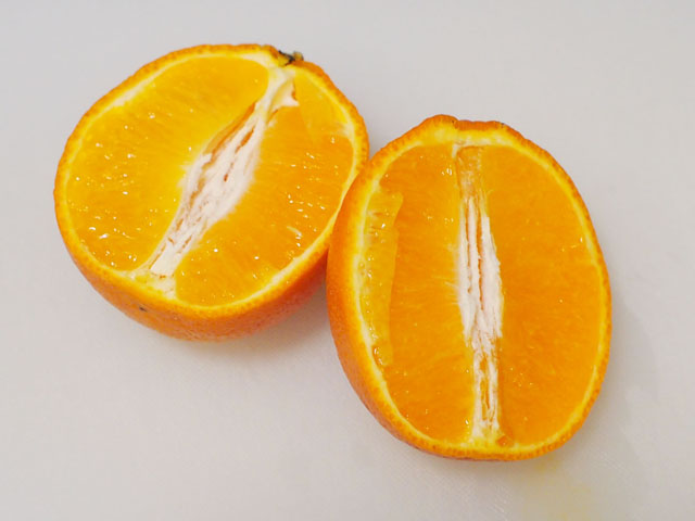 『同じオレンジでも、切る角度によっては断面の見え方が大きく異なる。』これは、日常においてはどのような現象が当てはまるか？