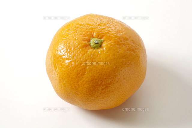 『同じオレンジでも、切る角度によっては断面の見え方が大きく異なる。』これは、日常においてはどのような現象が当てはまるか？