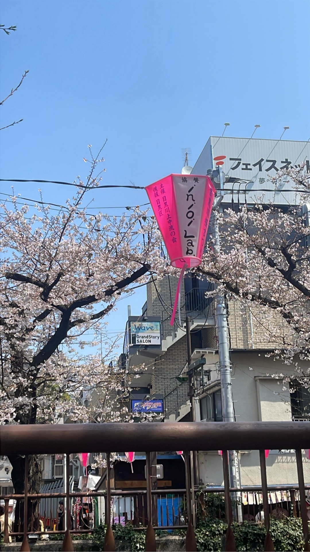 推しこんばんは