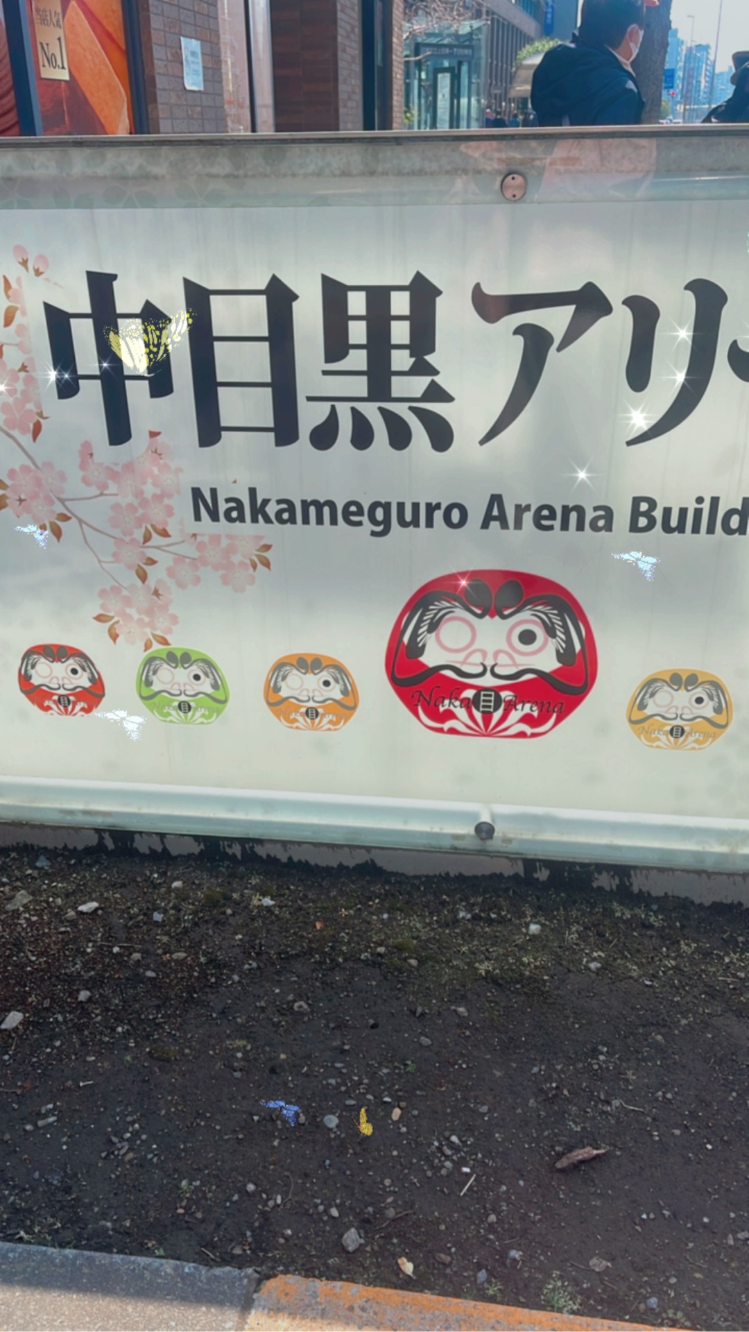 桜推しさっくん