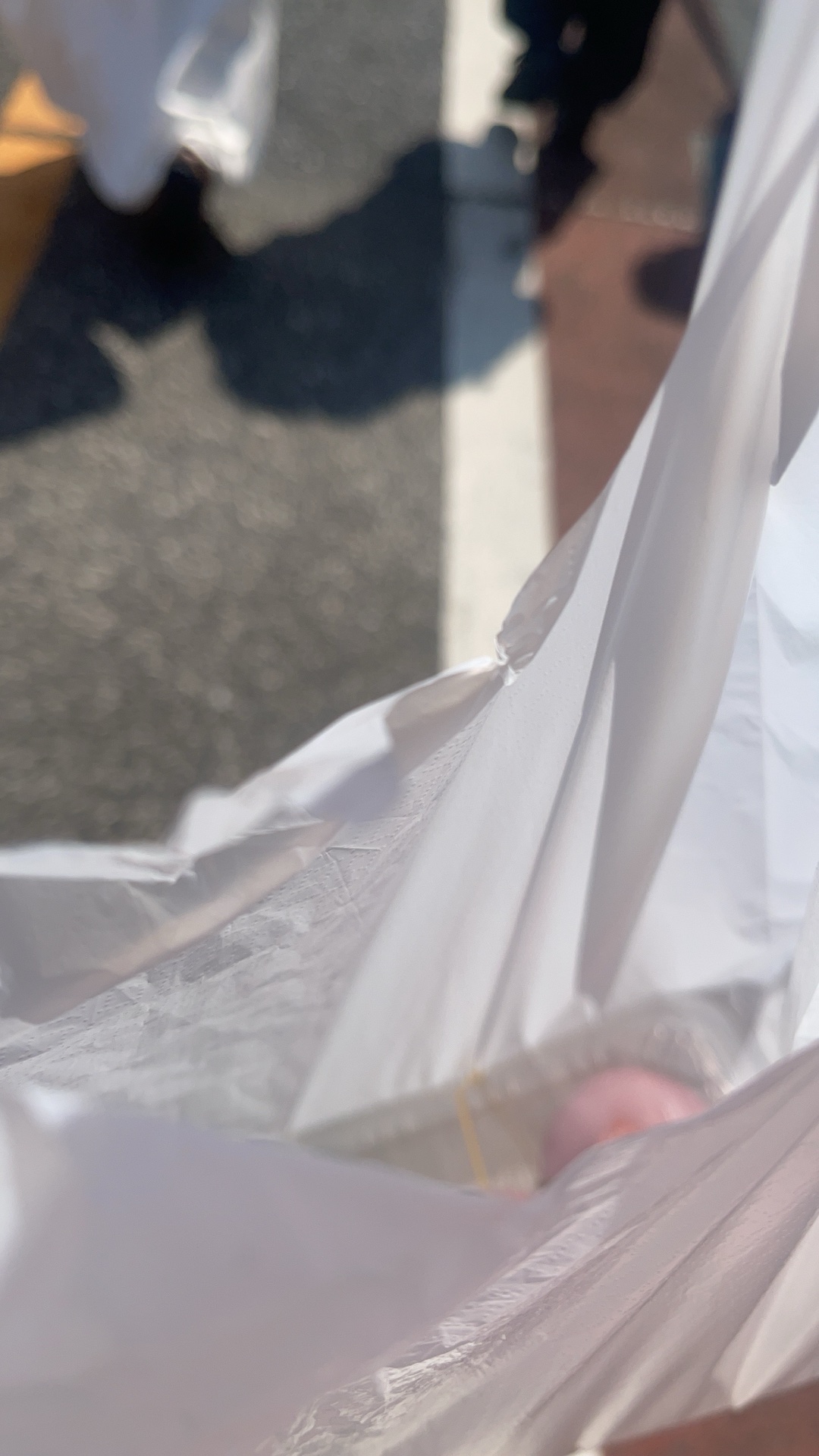 桜推しさっくん