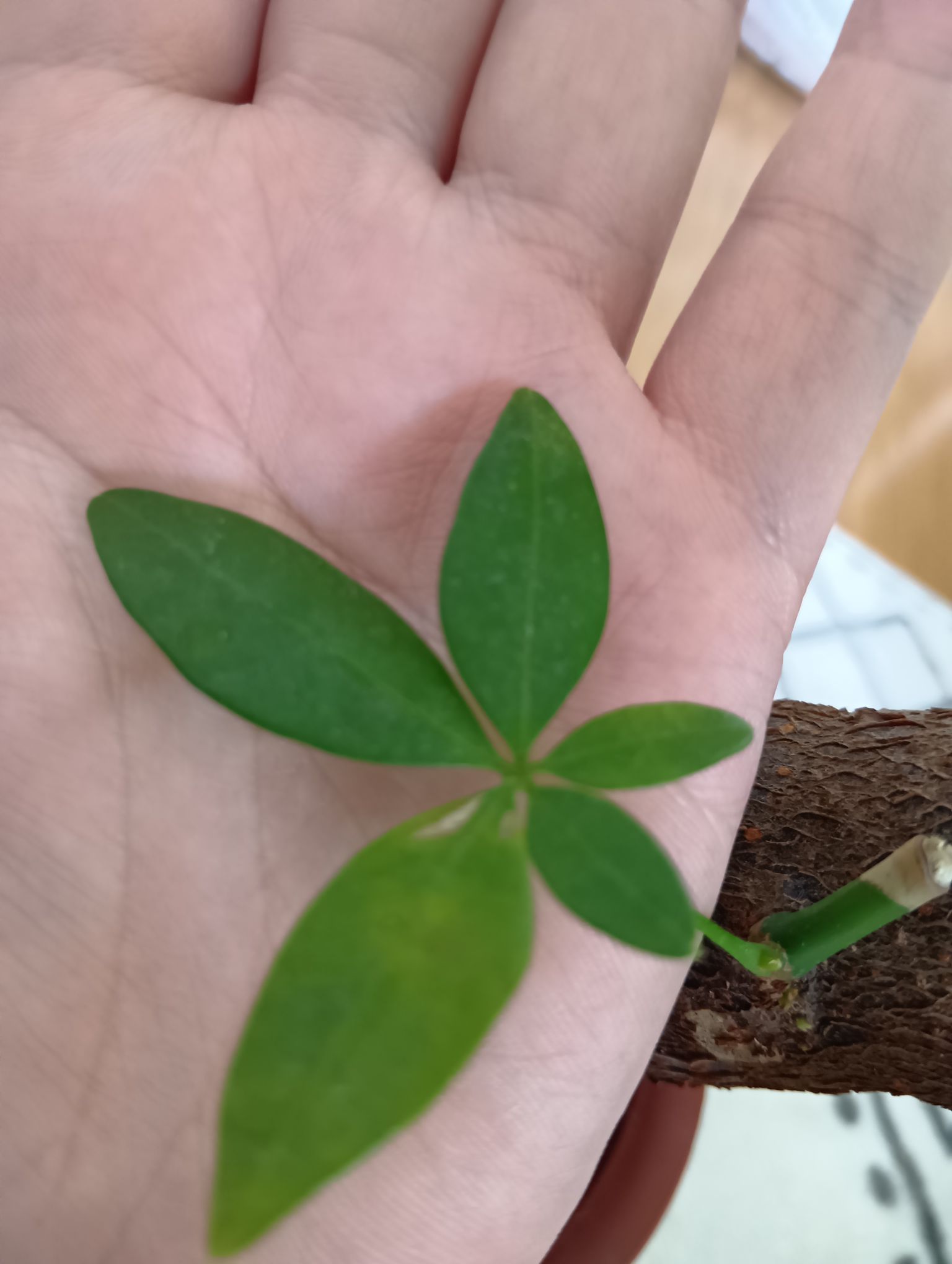 霊感強い人！どんな事を感じて視えてますか？まずグラ友になってください。