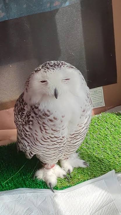 写真で一言(๑･̑◡･̑๑)