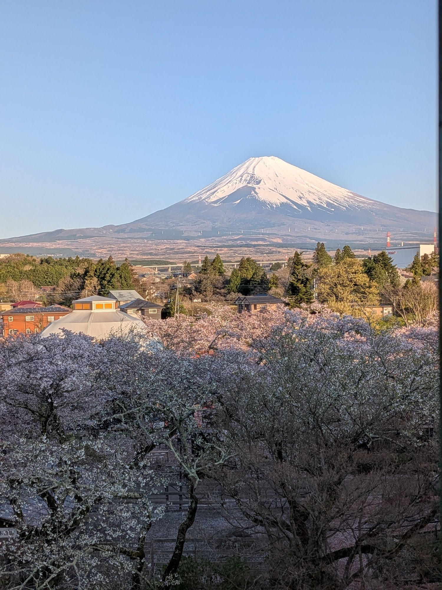 最近1番印象に残っている写真あります〜？自分はこれ