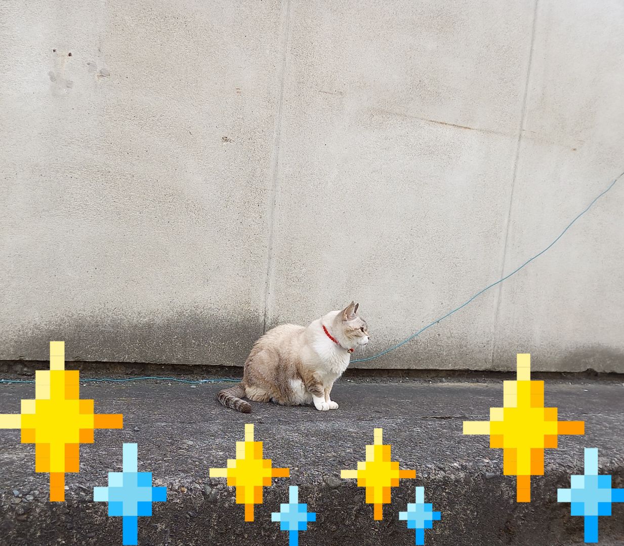 今…にゃんこわ…なにを思う🐱？