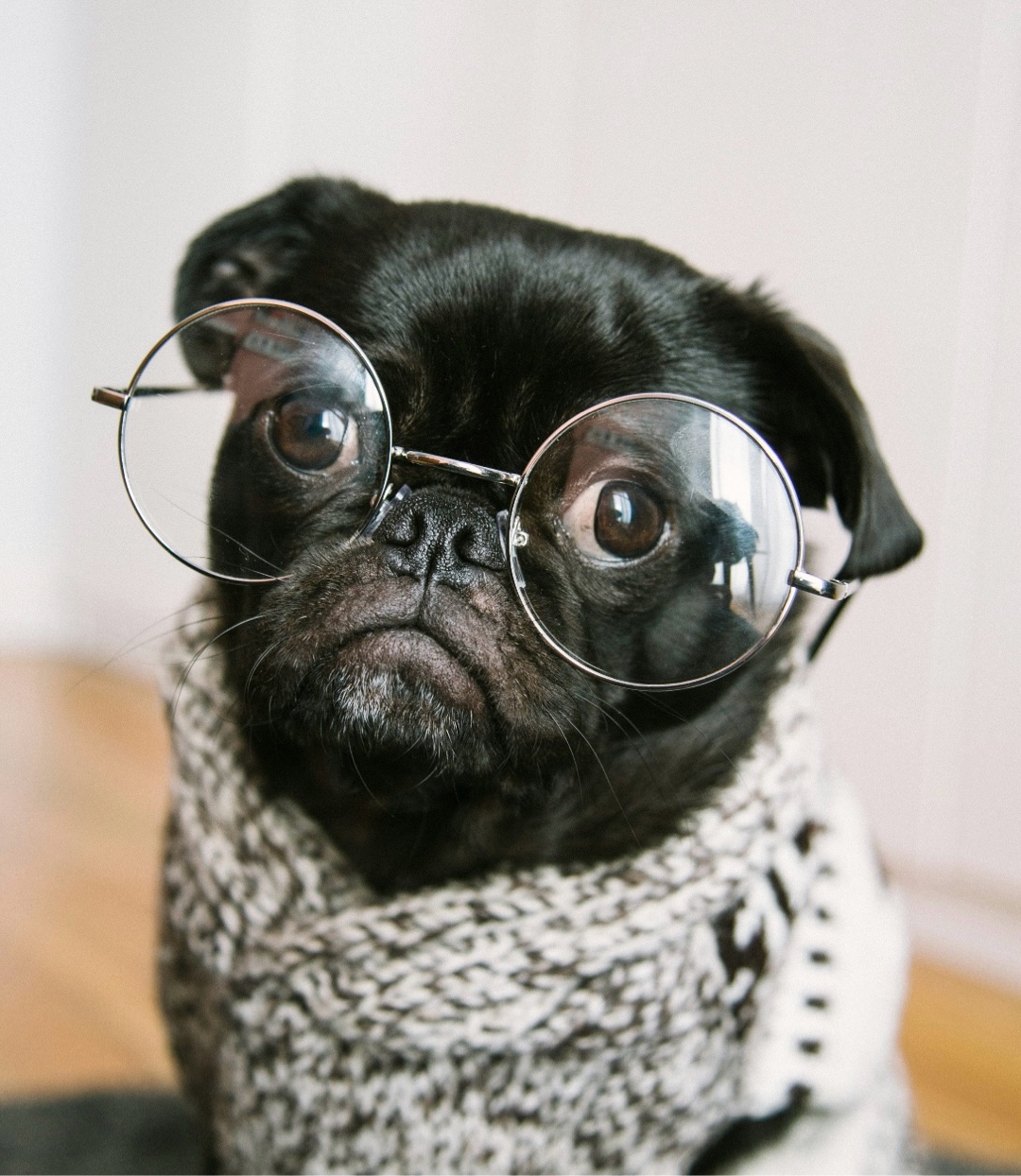 【写真で、一言】