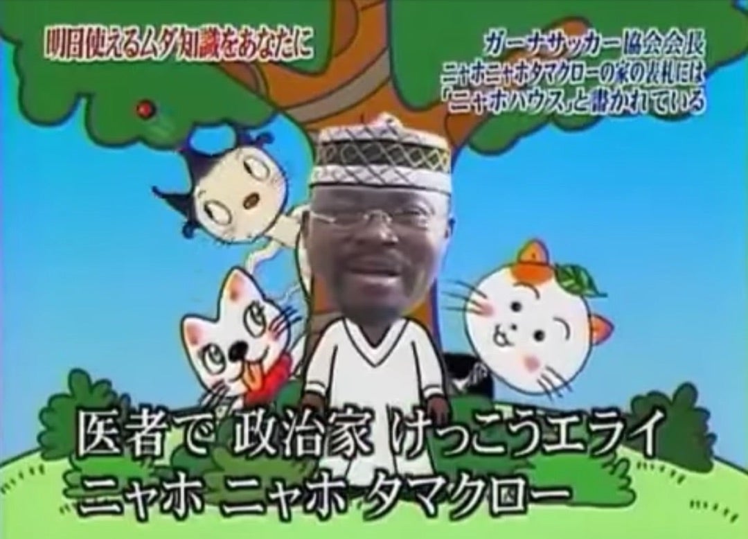 活動歴および当時の関連ビジュアル記録