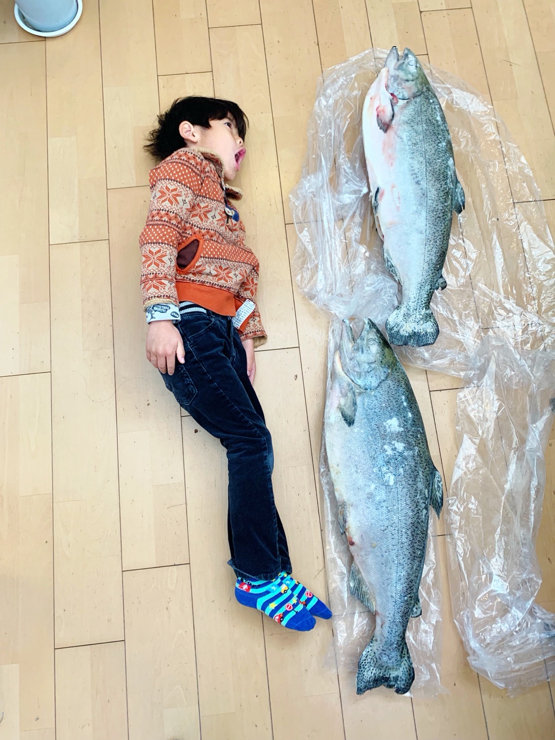 釣りキチのみなさん、釣果を見せて！