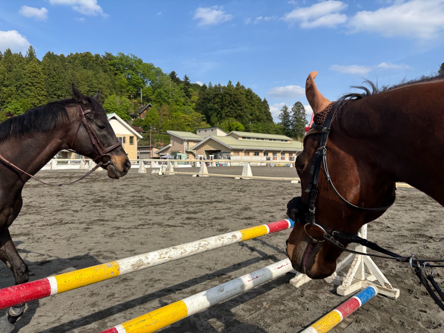 対応馬戦の時に気をつける、知っておいた方がいいことってありますか!!