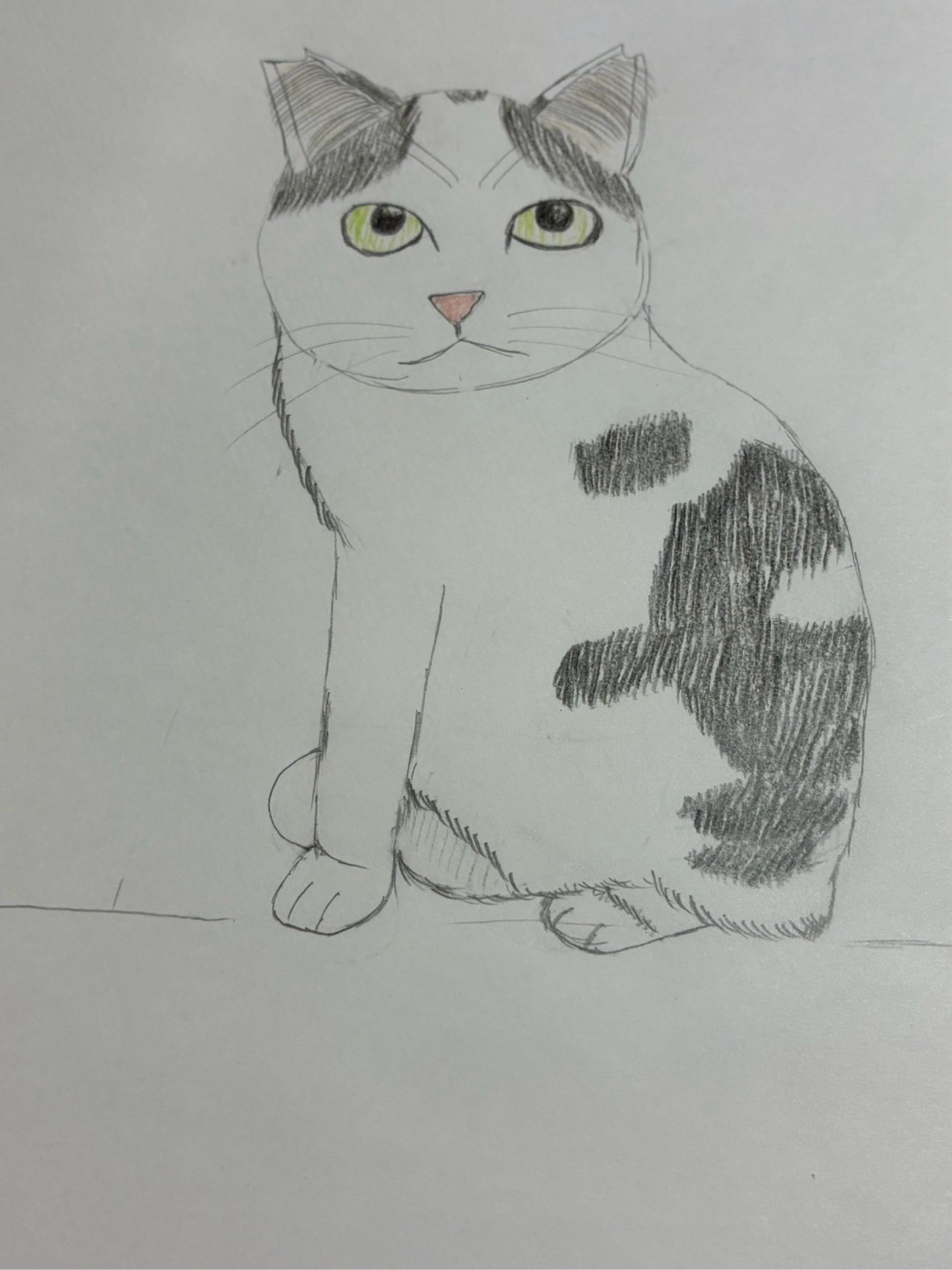 愛猫（正面・座ってるとこ）