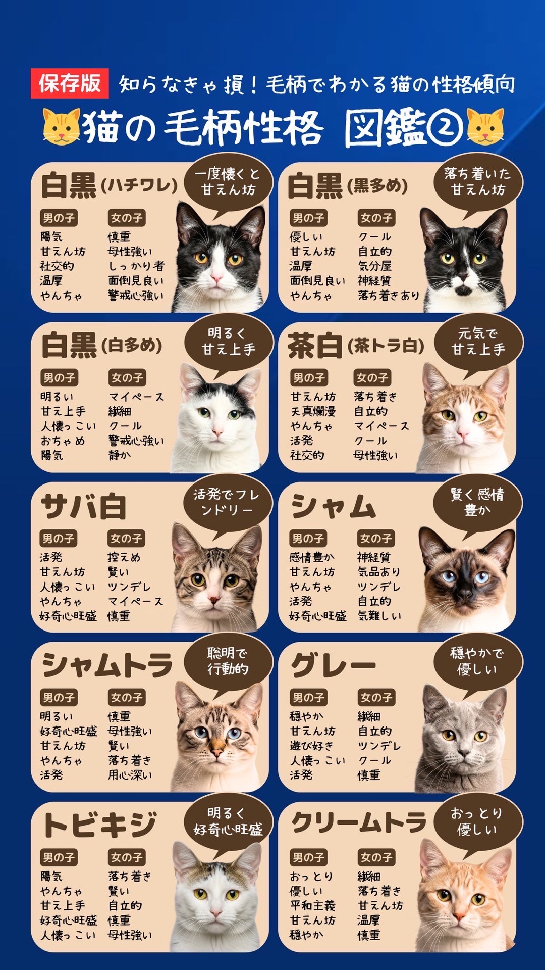 毛色♂♀性格診断