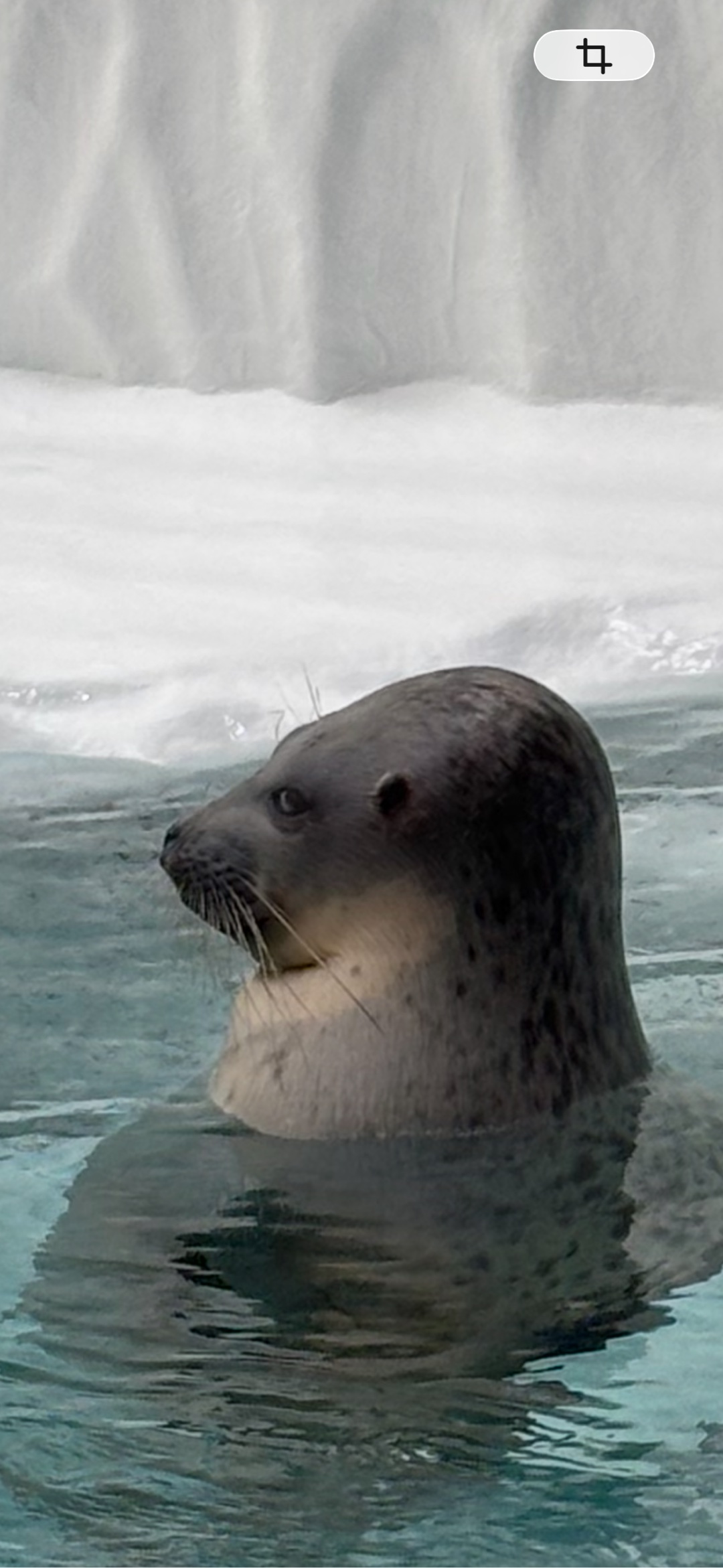 お気に入りの写真は