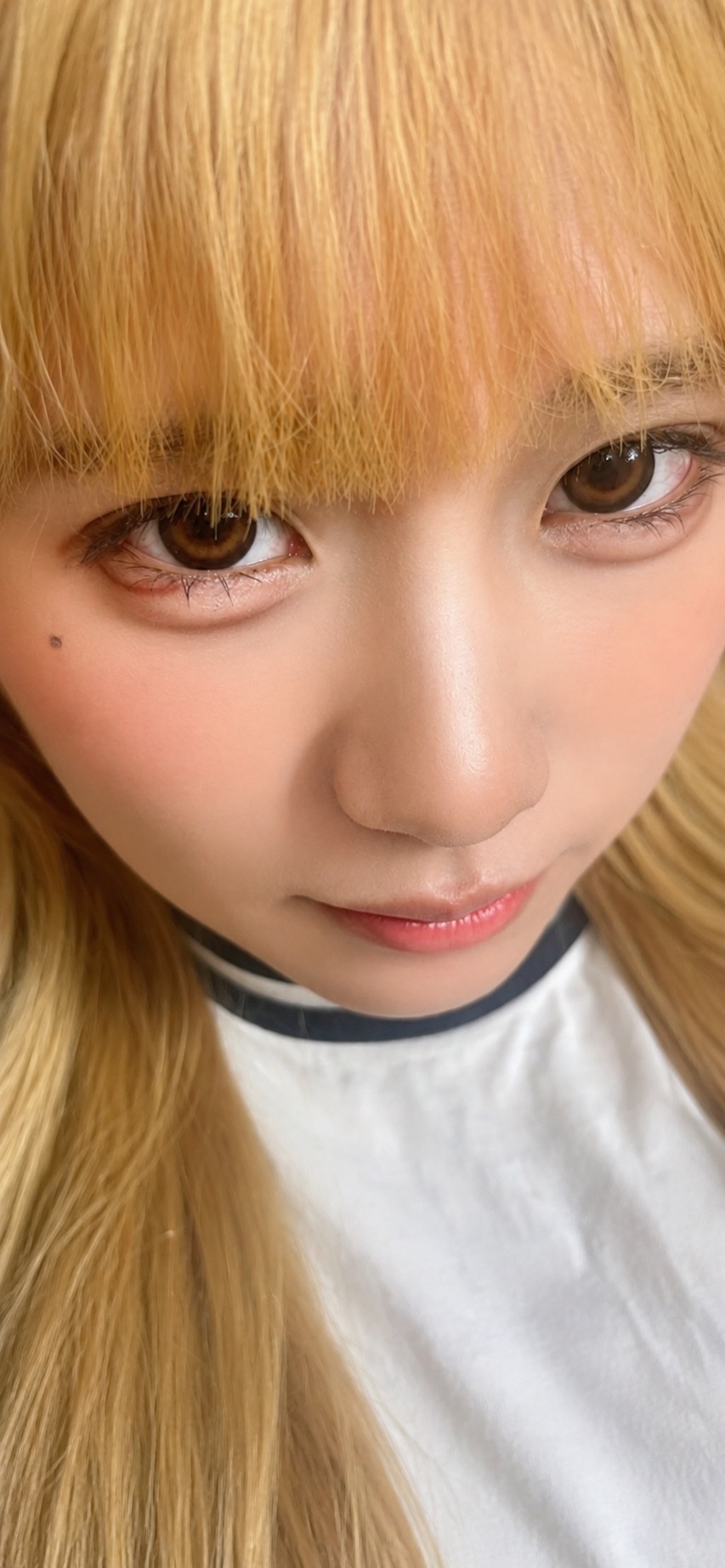 どれが1番可愛いか教えてください