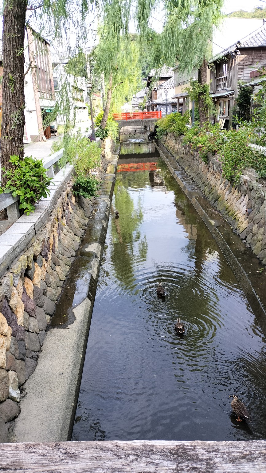 自分が撮ったお気に入りの写真は？