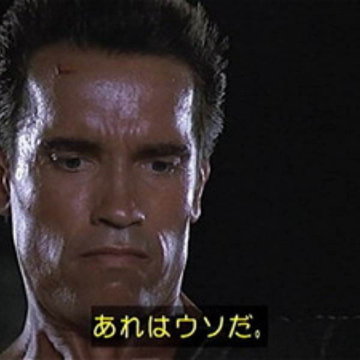 彼がついたウソとはどんなウソですか？