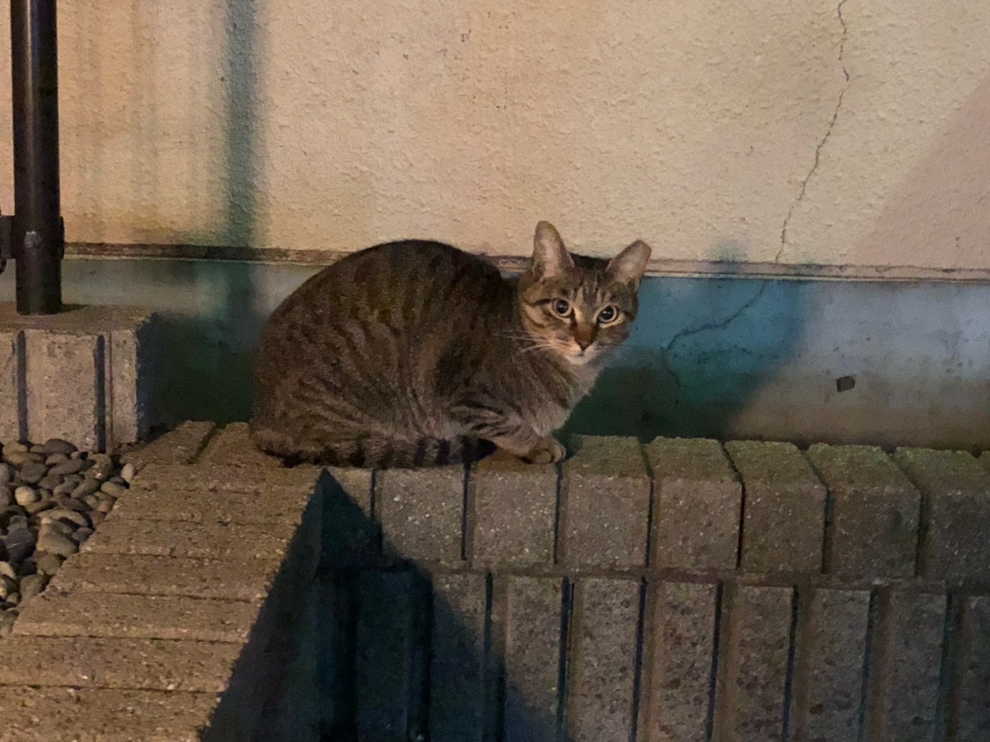 歩き疲れて座るのに良いスポットおしえて