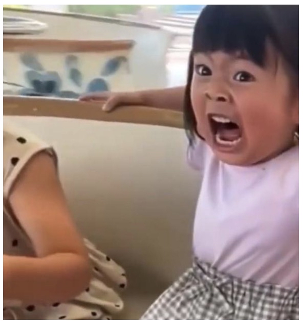 写真で一言!何があった?