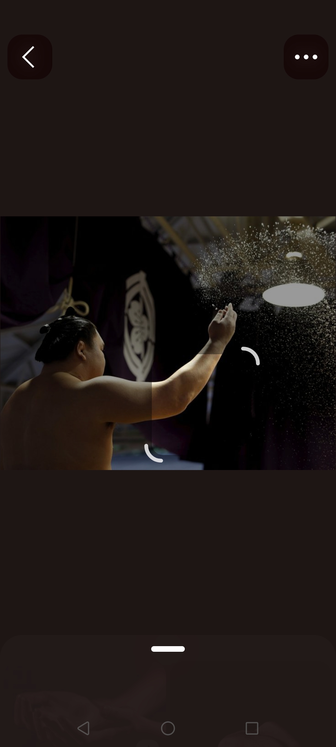 歴代力士の中で誰の塩まき（所作）が好きですか？
