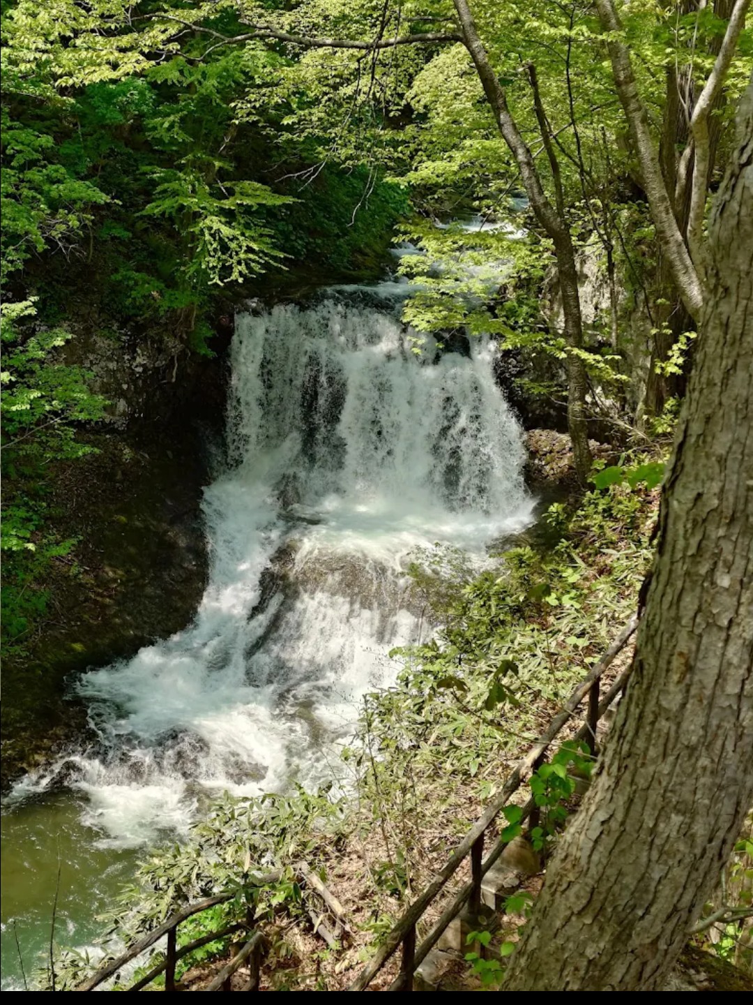 北海道心霊スポット!教えてください