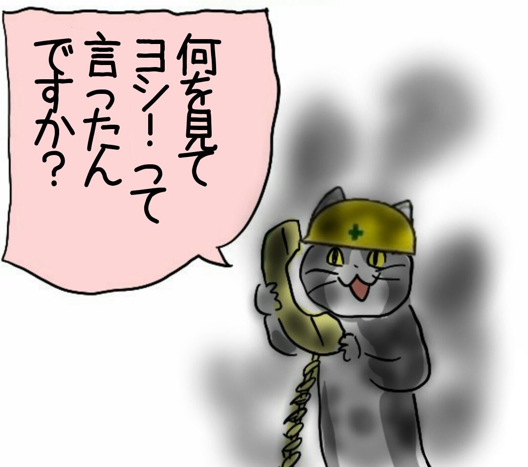 何を見て、ヨシ！と言いましたか？