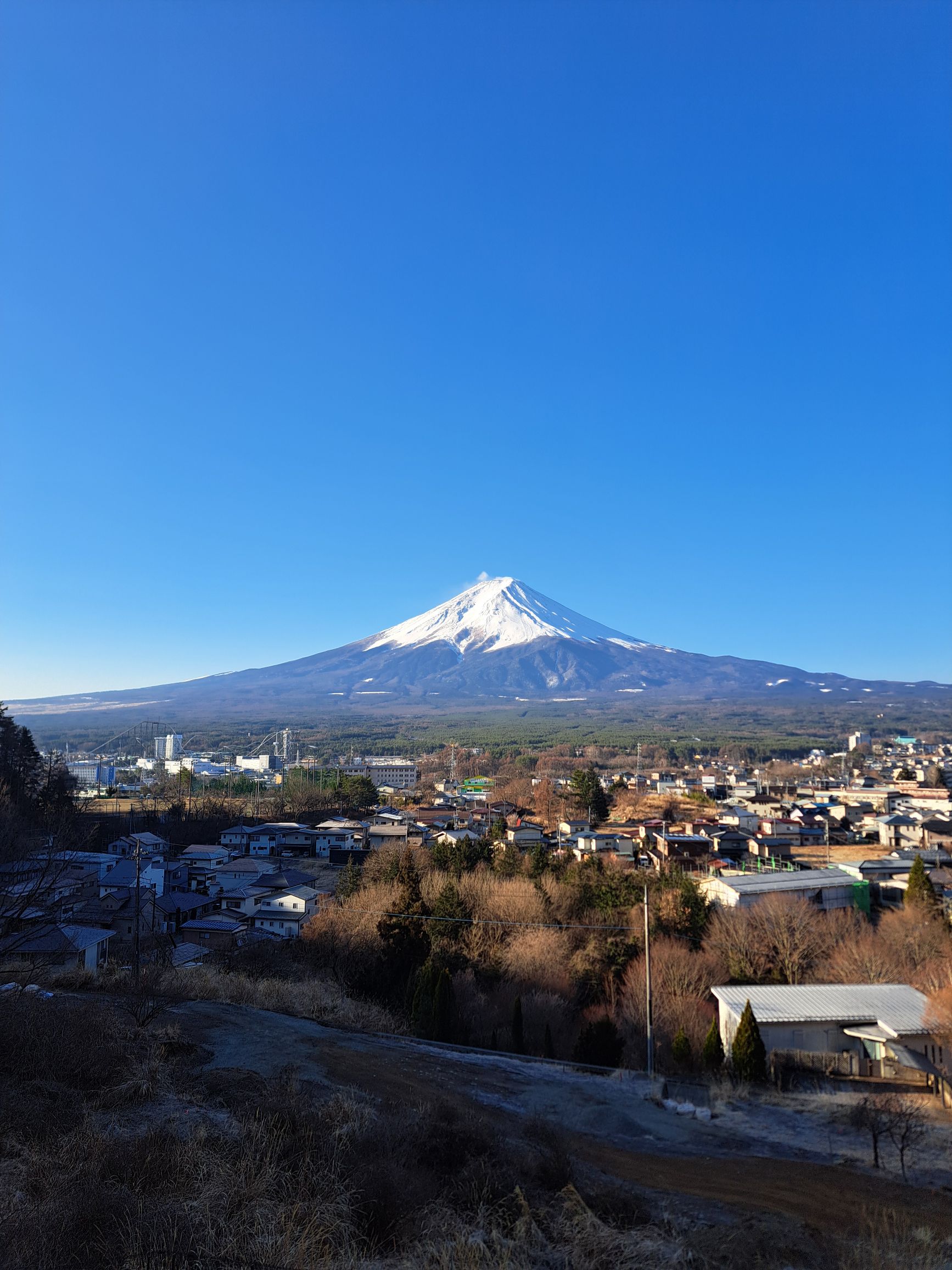 朝早く目覚めてしまった時、あなたならどのように過ごす？
