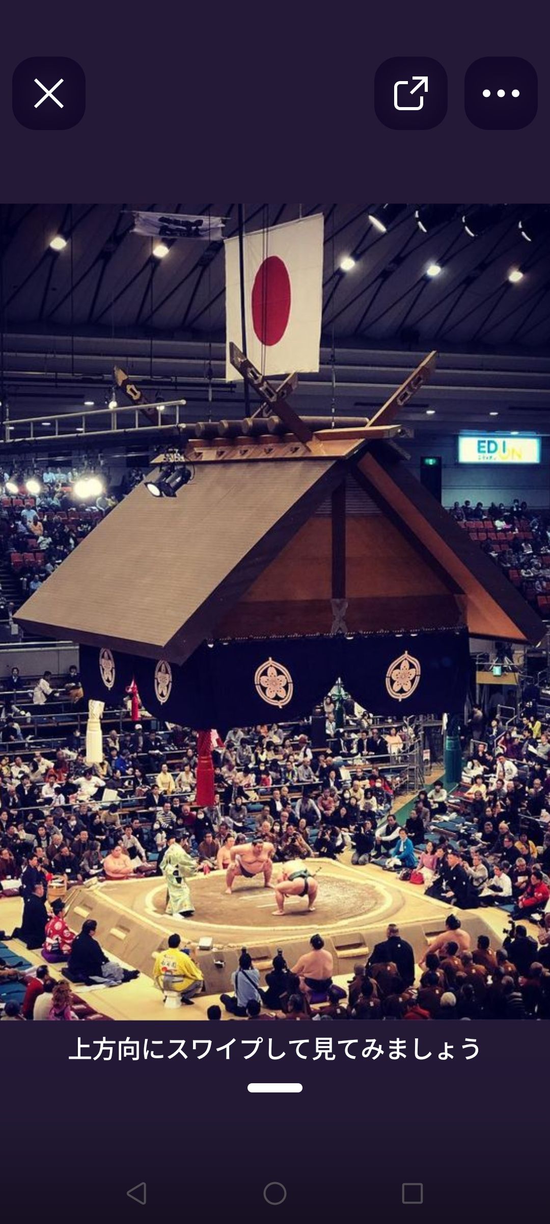 お相撲の話です、巨人、大鵬、卵焼きのように自分のマイベスト3を力士と引っ掛けて答えてください。