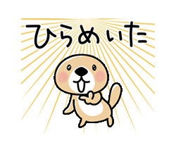 あなたの 新発見！新提案！教えてー