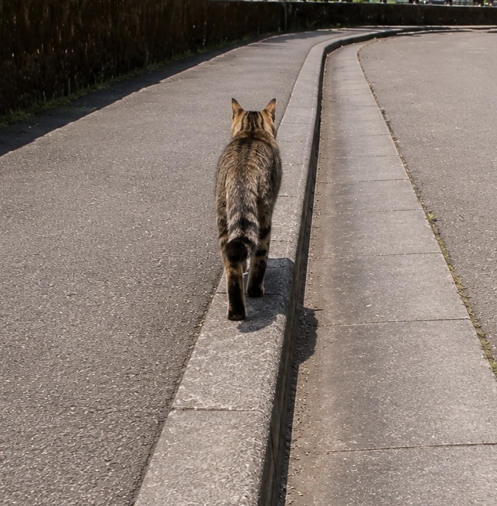 若者に問いたい