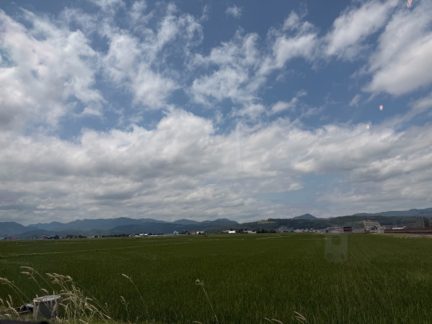 みんなの意見聞きたいな！