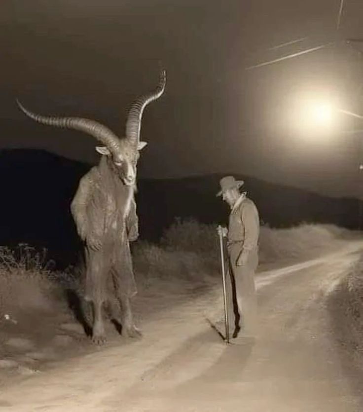 【画像で一言】夜の路上にて