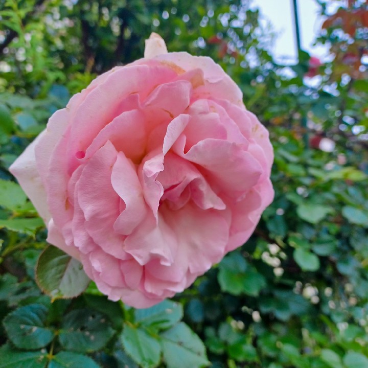 汚いなぁ、いやだよ