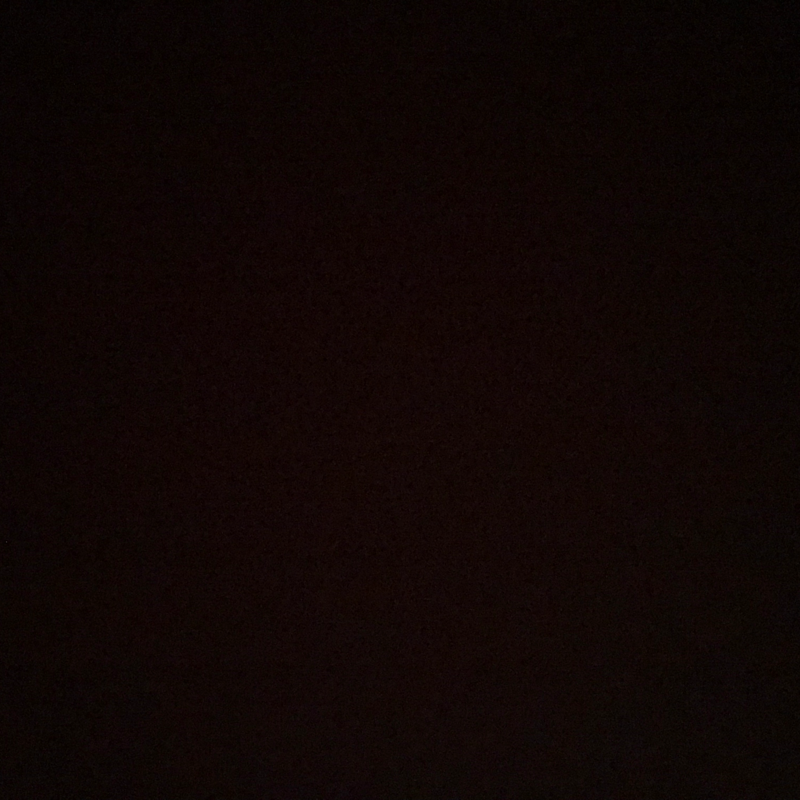 今日だけ慰めてくれる
