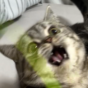 教えてあげない