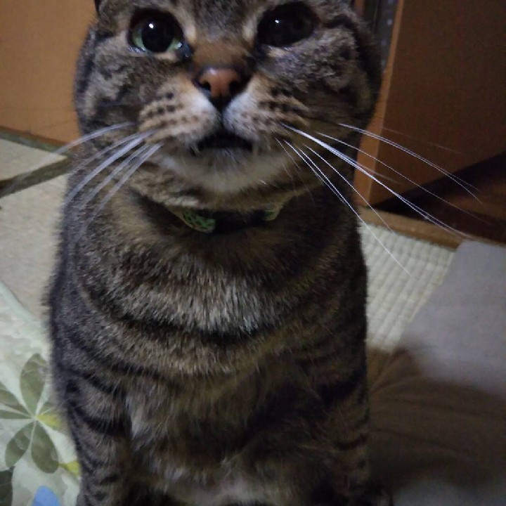 修行のシャワー